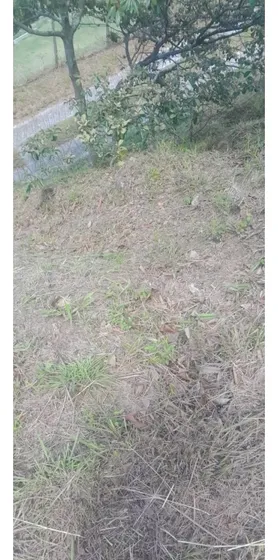 Vendo Hermoso Lote En Copacabana Antioquia