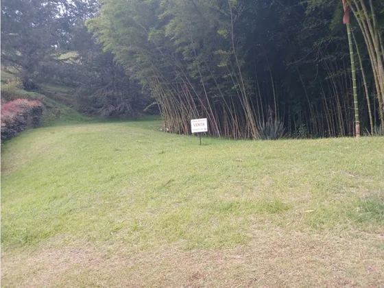 Lote Campestre En Venta En La Vía Don Diego La Ceja- El Chuscal