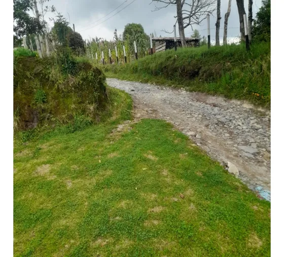 Finca En Vender En La Unión