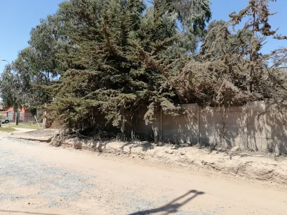 Sector El Milagro