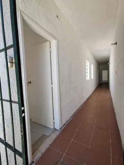 Apartamentos 1 Dormitorio Con Patio