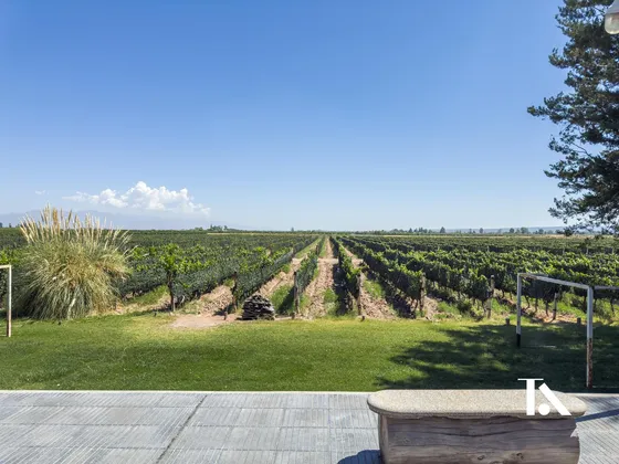 Finca Productiva En Ugarteche Y Casa De Huespedes