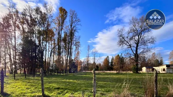 Se Vende Parcela De 5.000 M² En Huerquehue  Panguipulli 