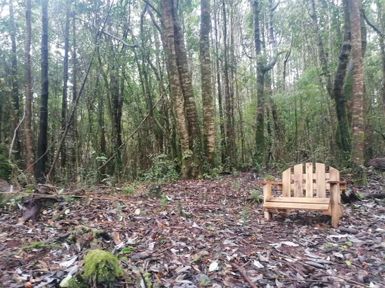 Parcela A Solo 15 Minutos De La Ciudad