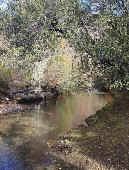 Parcela En Venta En Cauquenes