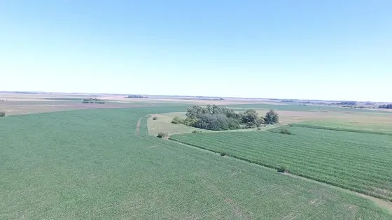 300 Has Campo En Venta - Apto Producción Intensiva - Feed Lot