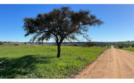 Excelente!! Parcelas De 5.000 M2 Con Rol Propio En &quot;lom