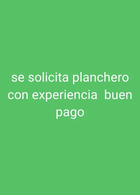 Se Busca Planchero Con Experiencias 