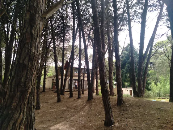 Alquiler Casa Rodeada De Bosque Ideal Descanzo Y Home Office (dueño)