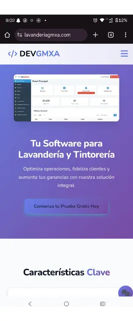 Software Para Lavandería Y Tintorería 