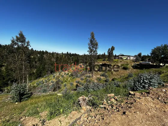 Parcelas Agrado 5500 M2, Matanzas, Bosques De Pupuya