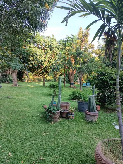 Terreno Residencial Vigilancia A Minutos De Tabachines 