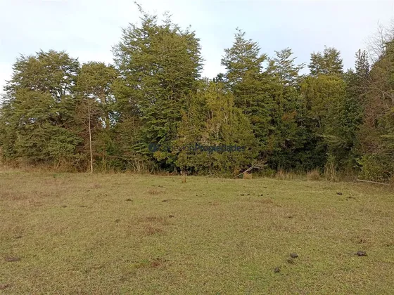 Venta Campo De 8 Hectáreas Con Casa En Tegualda