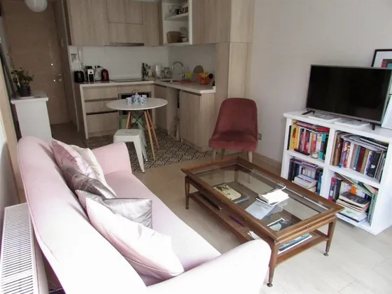 Departamento Amoblado En Arriendo El Bosque En Providencia