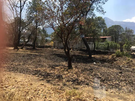 Terreno En Venta En Colonia Lomas De Tepemecatl Tlalpan