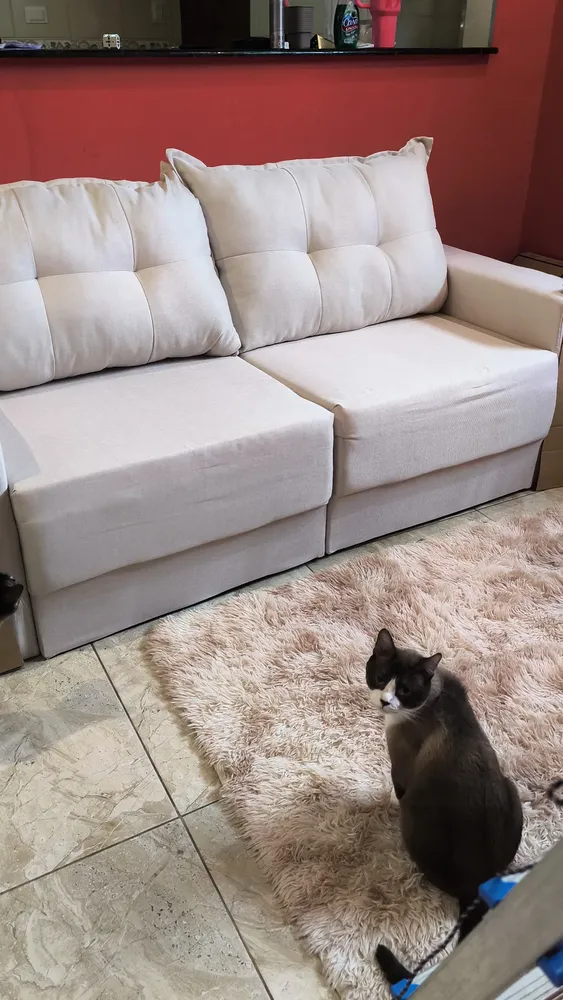 Foto do produto compartilhada pelo comprador 3 de 5