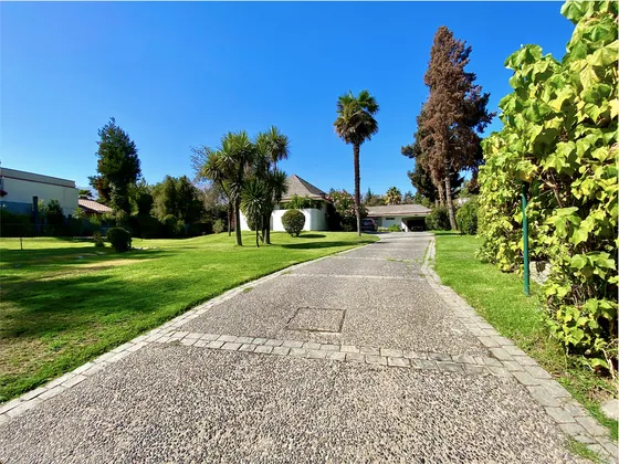 Gran Casa En Excelente Ubicación, Cercana A Clínic...