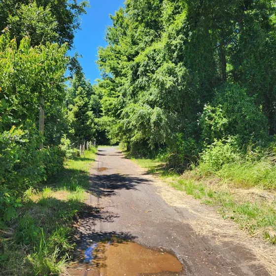 Se Vende Terreno En Pucon