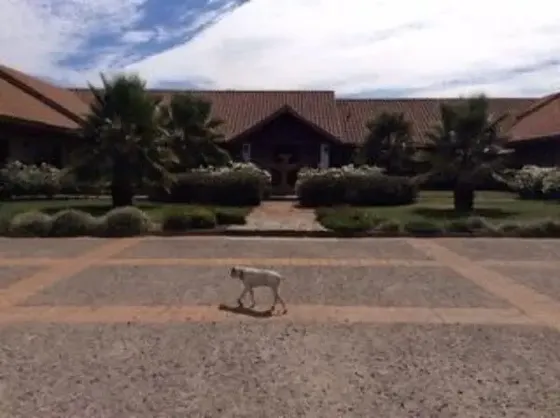 Gran Casa Patronal Con 10 Suites Y Mucho Mas