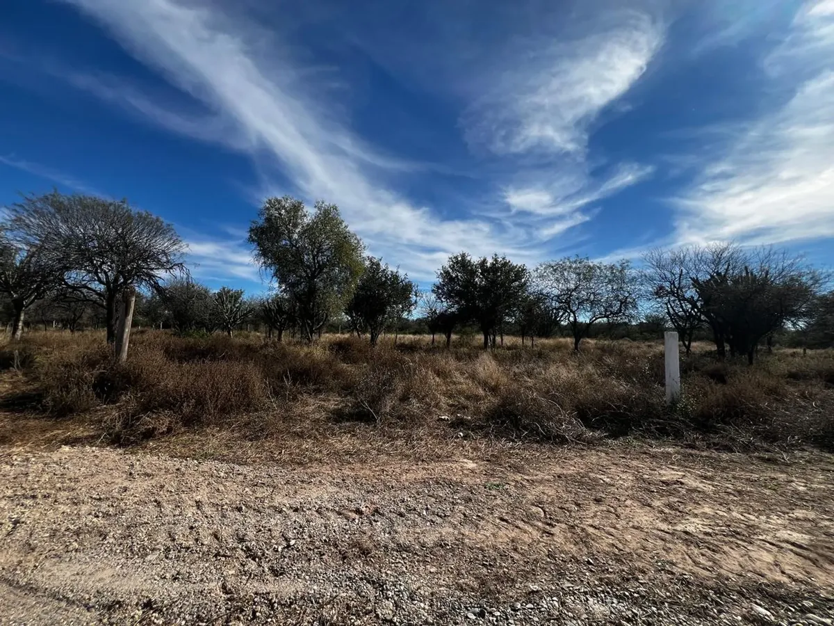 Venta Terreno 10x50m Loteo Los Esteros