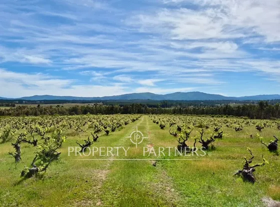 Exclusivo Terreno En El Corazon De Cauquenes