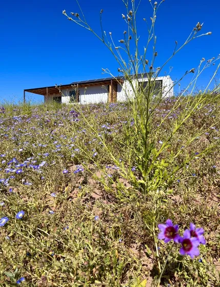 Casa En Venta Tipo Bunker Condominio Bahía Tongoy