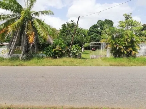 Terreno Con Bienhechurías En Venta Vía Viboral, Las Piedritas
