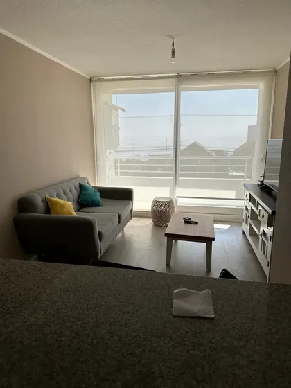 Vende Departamento En Viña Del Mar Alto