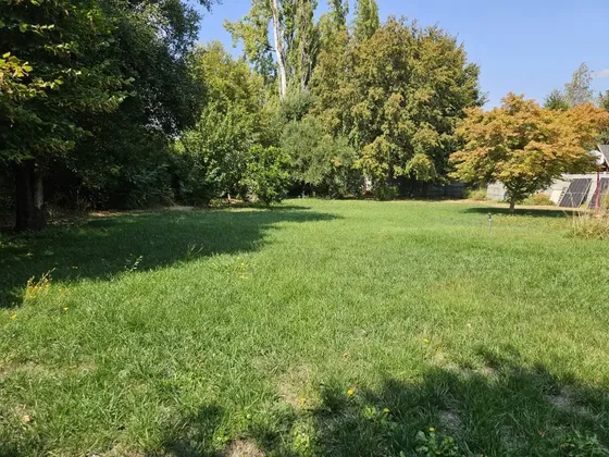 Se Vende Sitio Urbano En Doña Isidora Camino Antuco