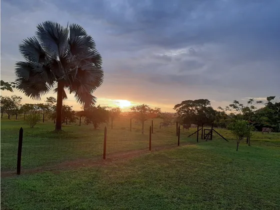 Venta Hermosa Finca Ganadera En Puerto Lopez 
