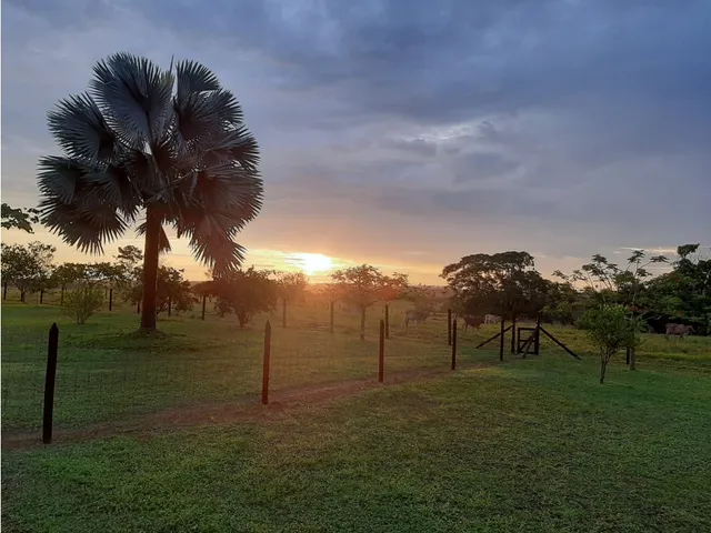 Venta Hermosa Finca Ganadera En Puerto Lopez 