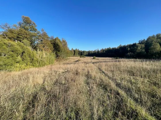 Campo En Venta 3,3 Hectáreas En Curacautín