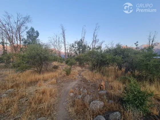 Vendo Parcela 5169 M2 En Pirque Con Luz Eléctrica Y Bodega.