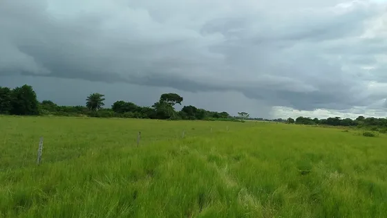 En Venta Hato De 1118 Hectáreas, Santa Barbara De Barinas Am