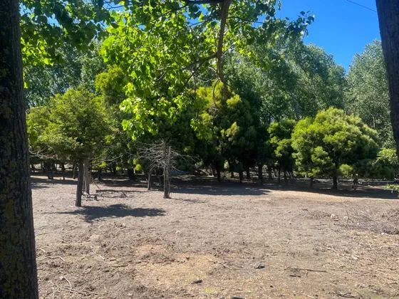 Terreno Excelente Ubicaccion Para Proyeto Mixto