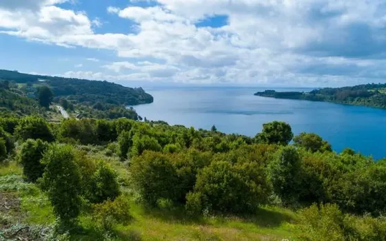 Espectacular Loteo En Frutillar (93727)