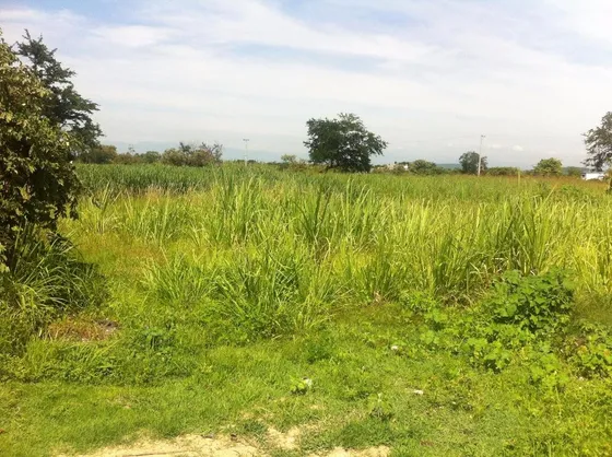 Terreno Campestre En Lázaro Cárdenas, Xochitepec, Morelos.