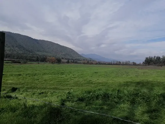 Parcelas De Agrado De 5000 M2 A 7 Minutos De Rancagua