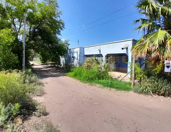 Finca En Palmira - San Martin - Mendoza