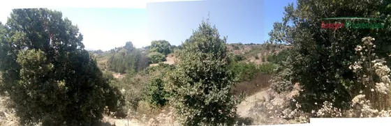 Sitio En Venta En Quintero