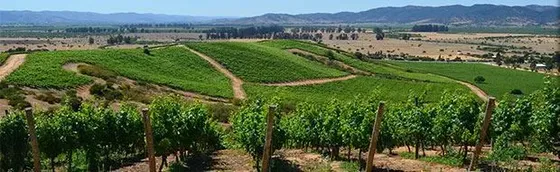 Parcela En Venta En Pumanque