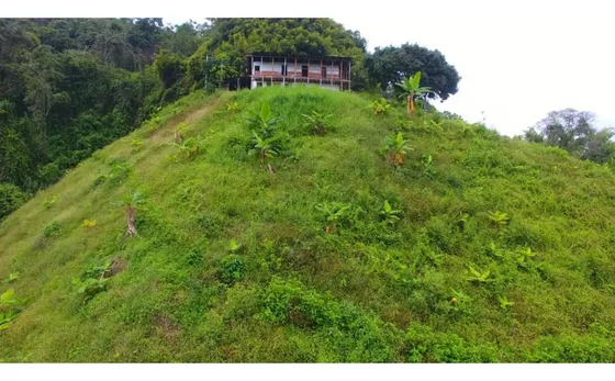 Venta Finca Vereda Tabor San Peregrino | Finca En Manizales