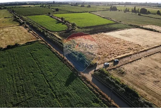 Terreno 5.300m2 A 15 Min De Mallplaza Maule