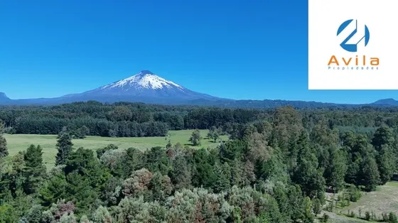 Villarrica  Canto De Estero Venta Parcela 5.000m Cod.vtap207