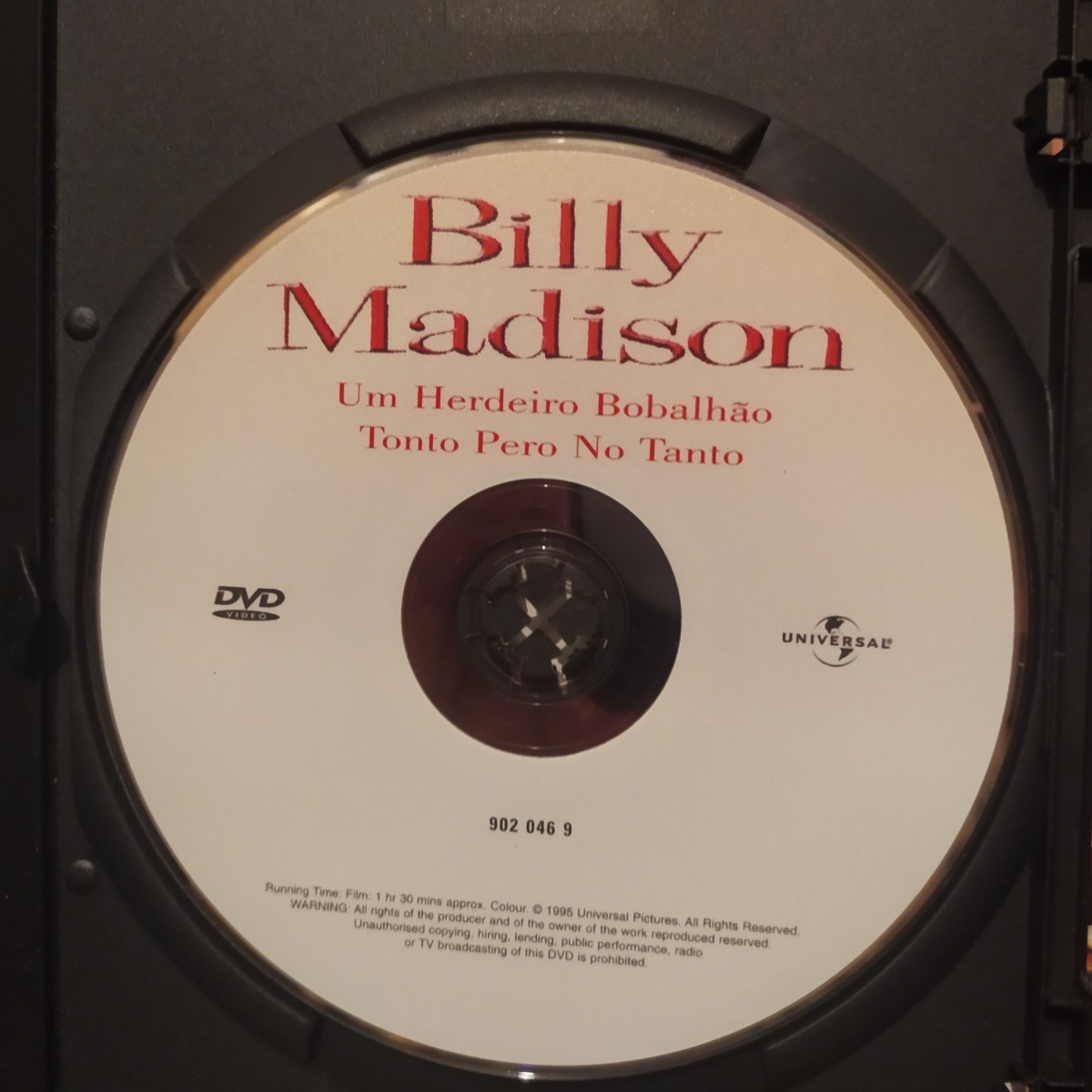 Tonto Pero No Tanto / Billy Madison / Adam Sandler / Dvd