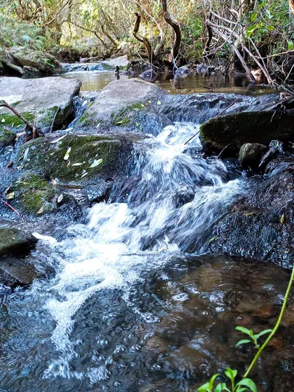 Chacra En Las Sierras Ruta 12 Próximo Pueblo Eden, Maldonado