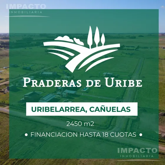 Chacra En Venta C/ Financiación Uribelarrea, Cañuelas