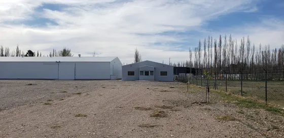 Alquilo Galpón 1200 M2 300 M2 Ofi Y Predio 1 Hecta Calle Rio