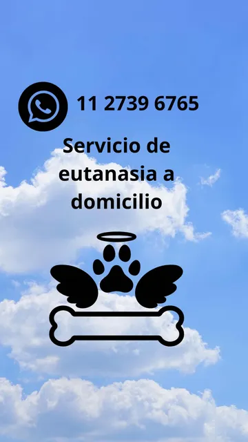 Eutanasia Y Cremacion A Domicilio De Mascotas Veterinario