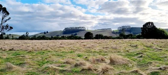 Preciosa Parcela Sector Pichilaguna En Venta En Llanquihue